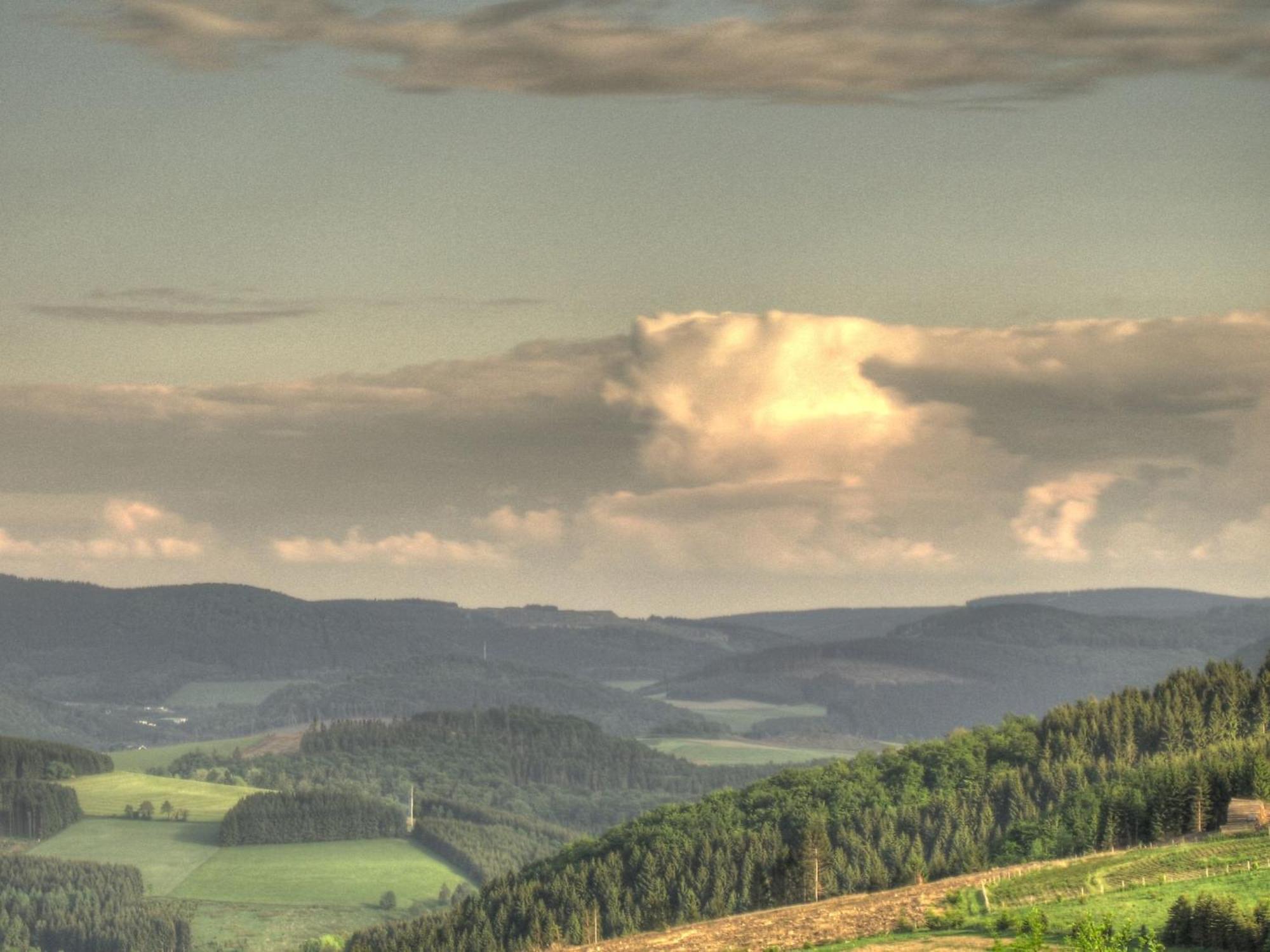 Cozy Holiday Home With Wifi In Hochsauerland Elpe エクステリア 写真